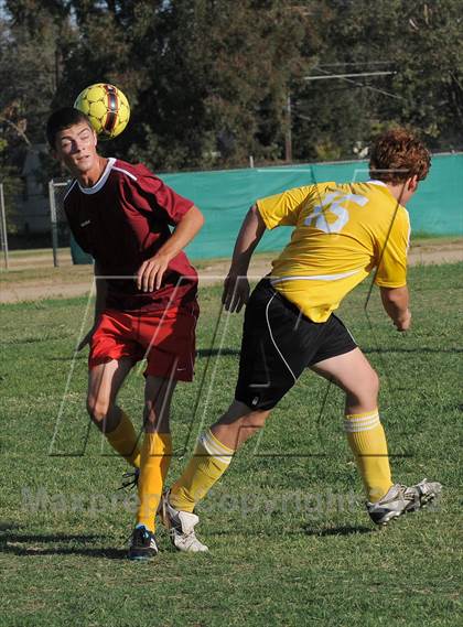 Thumbnail 1 in Golden Sierra @ Encina Prep photogallery.
