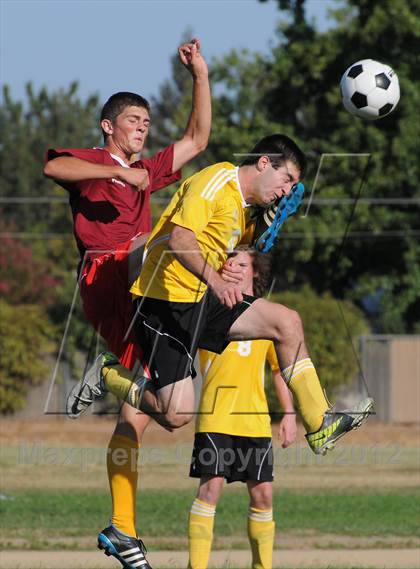 Thumbnail 3 in Golden Sierra @ Encina Prep photogallery.