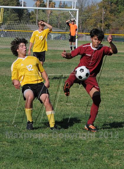 Thumbnail 1 in Golden Sierra @ Encina Prep photogallery.