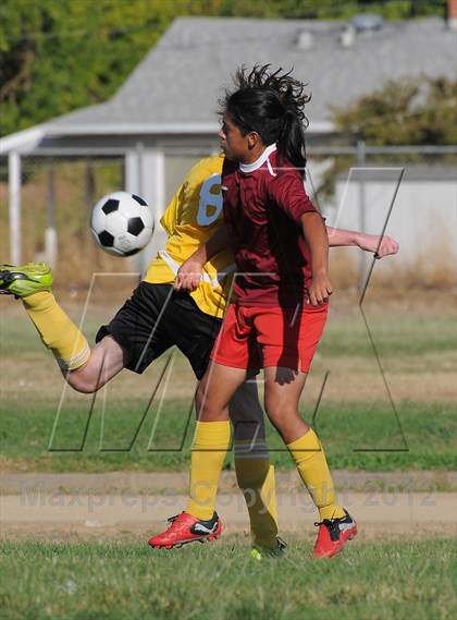 Thumbnail 1 in Golden Sierra @ Encina Prep photogallery.