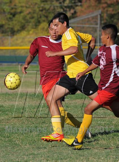 Thumbnail 1 in Golden Sierra @ Encina Prep photogallery.