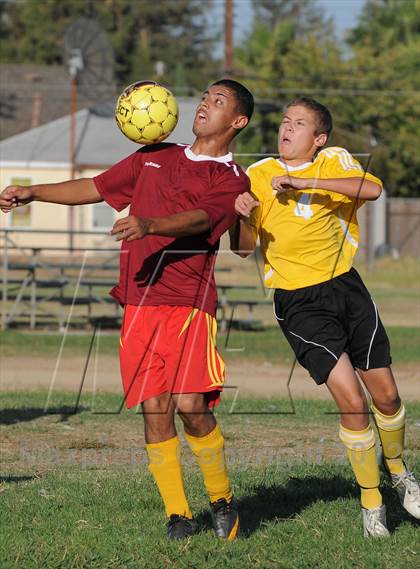 Thumbnail 1 in Golden Sierra @ Encina Prep photogallery.