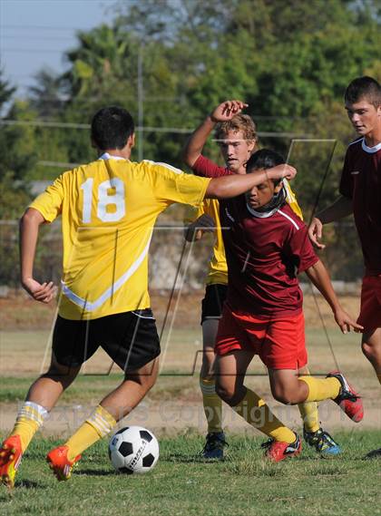 Thumbnail 2 in Golden Sierra @ Encina Prep photogallery.