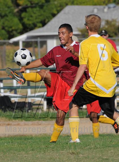 Thumbnail 3 in Golden Sierra @ Encina Prep photogallery.