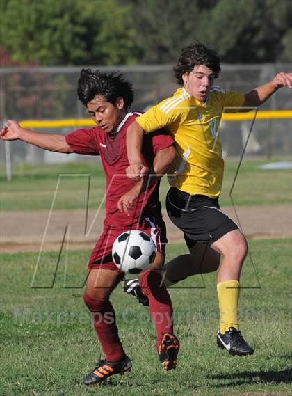 Thumbnail 1 in Golden Sierra @ Encina Prep photogallery.