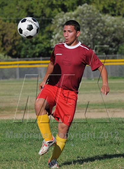 Thumbnail 1 in Golden Sierra @ Encina Prep photogallery.