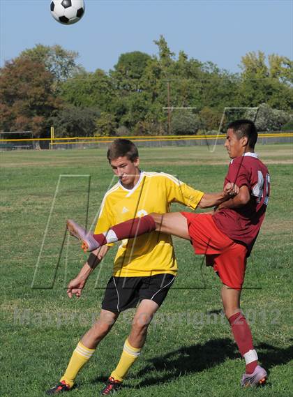 Thumbnail 3 in Golden Sierra @ Encina Prep photogallery.