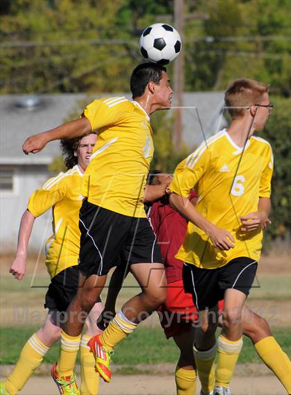 Thumbnail 3 in Golden Sierra @ Encina Prep photogallery.