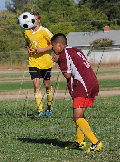 Thumbnail 3 in Golden Sierra @ Encina Prep photogallery.