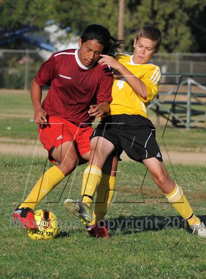 Thumbnail 2 in Golden Sierra @ Encina Prep photogallery.