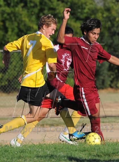 Thumbnail 2 in Golden Sierra @ Encina Prep photogallery.