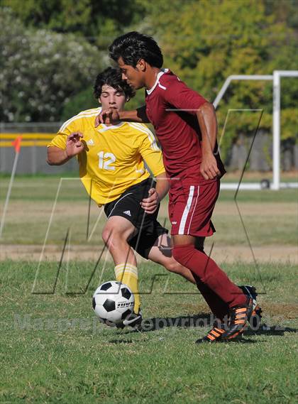 Thumbnail 2 in Golden Sierra @ Encina Prep photogallery.