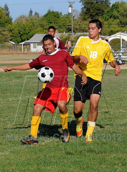 Thumbnail 2 in Golden Sierra @ Encina Prep photogallery.