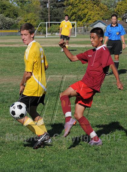 Thumbnail 3 in Golden Sierra @ Encina Prep photogallery.