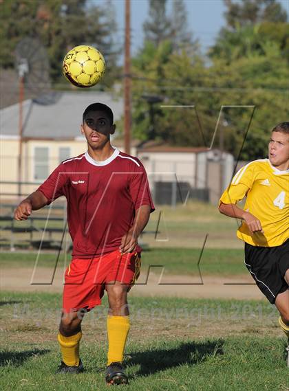 Thumbnail 1 in Golden Sierra @ Encina Prep photogallery.