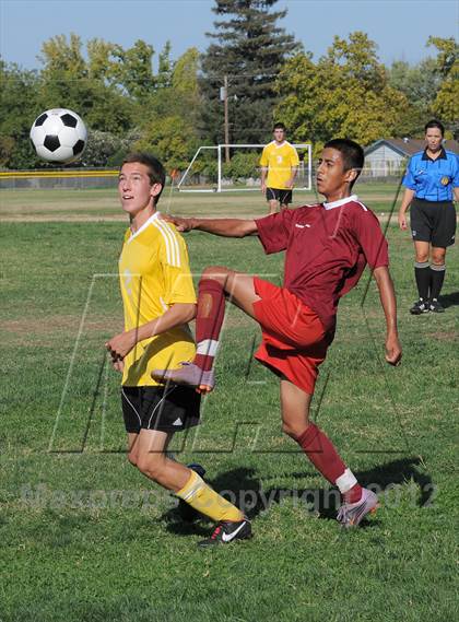 Thumbnail 2 in Golden Sierra @ Encina Prep photogallery.