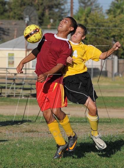 Thumbnail 2 in Golden Sierra @ Encina Prep photogallery.