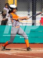 Photo from the gallery "Silver Creek @ Milpitas"