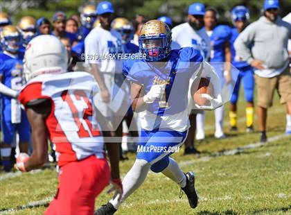 Thumbnail 2 in Palmyra @ Woodbury photogallery.
