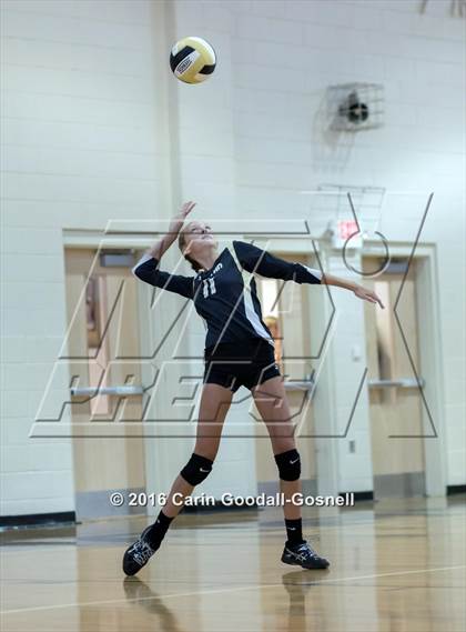 Thumbnail 3 in Havelock @ Croatan photogallery.