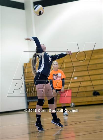 Thumbnail 3 in Havelock @ Croatan photogallery.