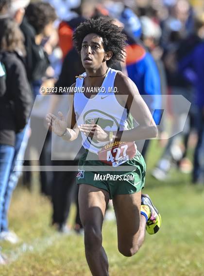 Thumbnail 3 in IHSAA Regionals (Shelbyville) photogallery.