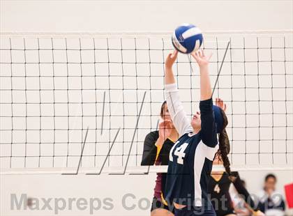 Thumbnail 2 in Legend vs. Rocky Mountain photogallery.