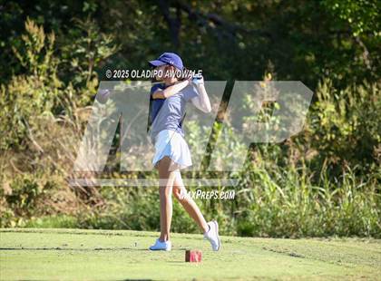 Thumbnail 3 in West Frisco Classic photogallery.