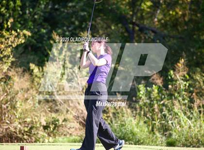 Thumbnail 2 in West Frisco Classic photogallery.