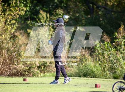 Thumbnail 2 in West Frisco Classic photogallery.