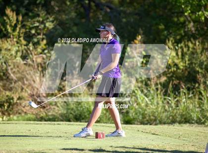 Thumbnail 3 in West Frisco Classic photogallery.