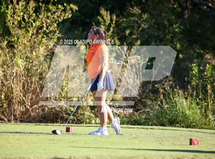 Thumbnail 2 in West Frisco Classic photogallery.