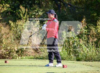 Thumbnail 1 in West Frisco Classic photogallery.