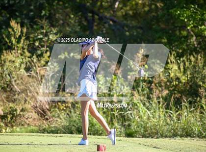 Thumbnail 3 in West Frisco Classic photogallery.