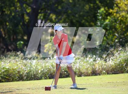 Thumbnail 3 in West Frisco Classic photogallery.