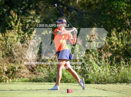 Thumbnail 1 in West Frisco Classic photogallery.