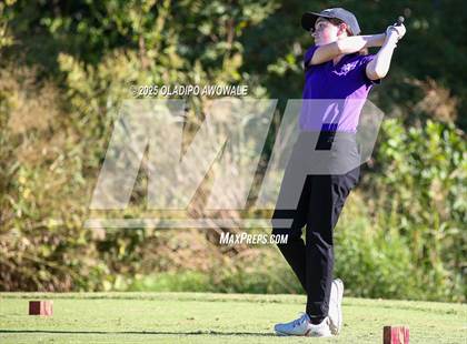 Thumbnail 3 in West Frisco Classic photogallery.