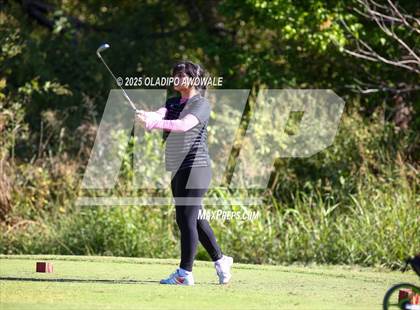 Thumbnail 2 in West Frisco Classic photogallery.