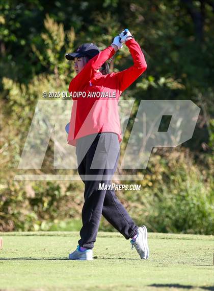 Thumbnail 1 in West Frisco Classic photogallery.