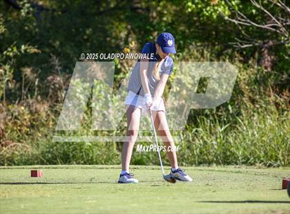 Thumbnail 3 in West Frisco Classic photogallery.