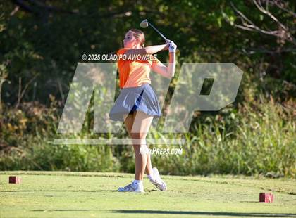 Thumbnail 1 in West Frisco Classic photogallery.
