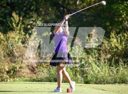 Thumbnail 2 in West Frisco Classic photogallery.
