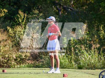 Thumbnail 2 in West Frisco Classic photogallery.