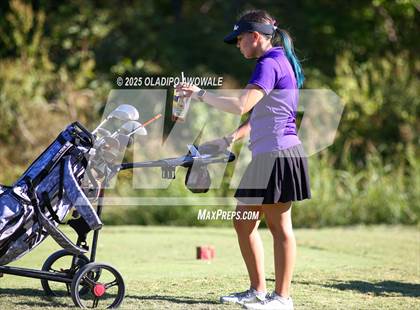 Thumbnail 1 in West Frisco Classic photogallery.