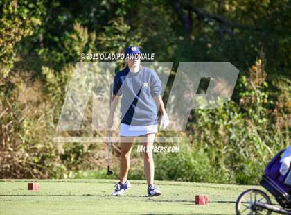 Thumbnail 2 in West Frisco Classic photogallery.