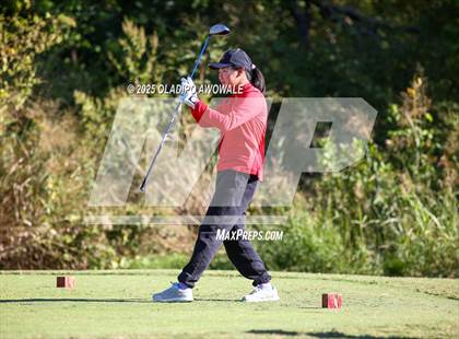 Thumbnail 3 in West Frisco Classic photogallery.