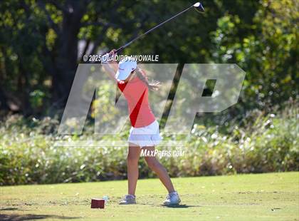 Thumbnail 2 in West Frisco Classic photogallery.