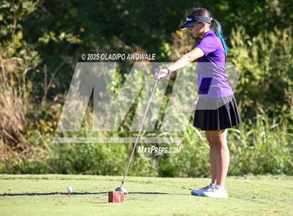 Thumbnail 1 in West Frisco Classic photogallery.