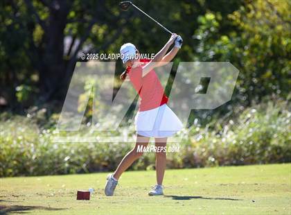 Thumbnail 1 in West Frisco Classic photogallery.