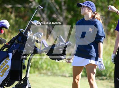 Thumbnail 1 in West Frisco Classic photogallery.